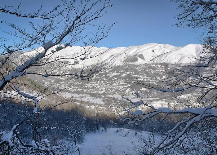 Daire Acces Direct Aux Pistes - Pour 4 *